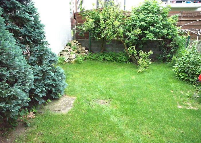 Homey Luxury- Entire House, Free Parking, Yard