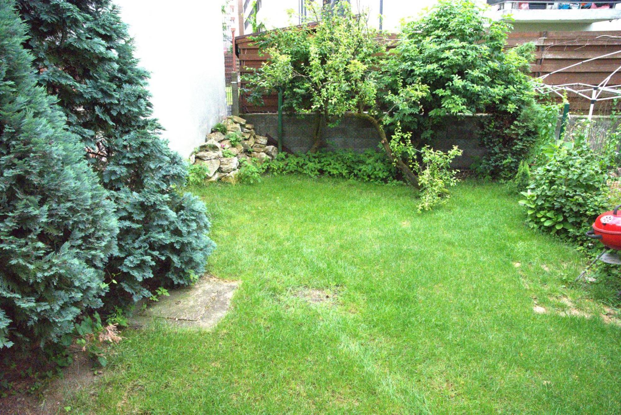 Apartment Homey Luxury- Entire House, Free Parking, Yard *